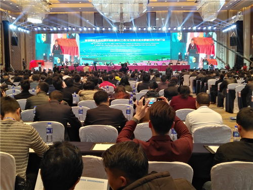 南昌会议策划公司如何策划会议方案及会议服务指南